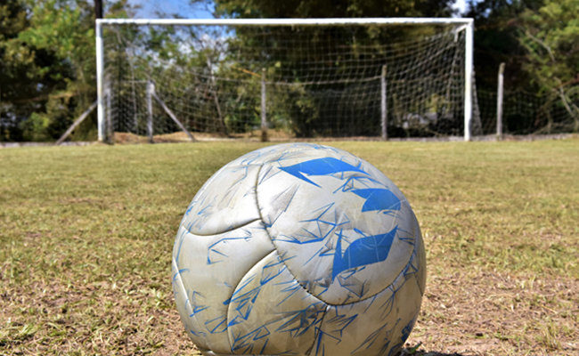Em um campo de futebol, uma bola e uma goleira