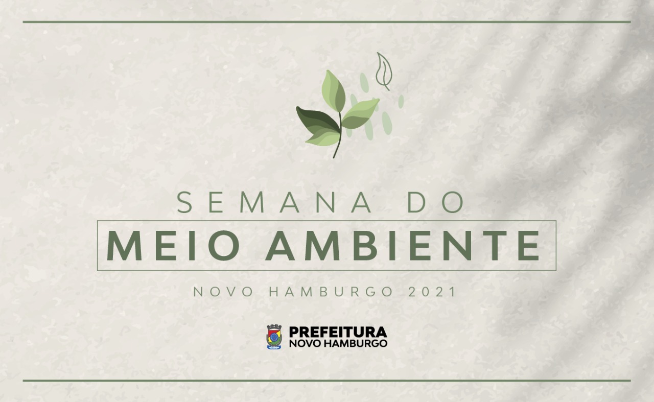 teste