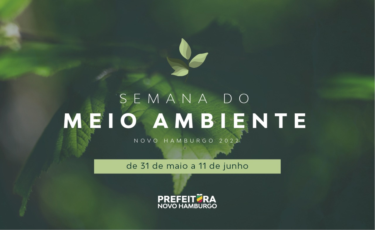 Teste