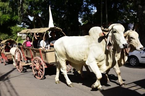Novo Hamburgo: 98 anos de história celebrados na 21ª Carreteada de Lomba Grande