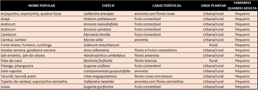 PLANTAS 1